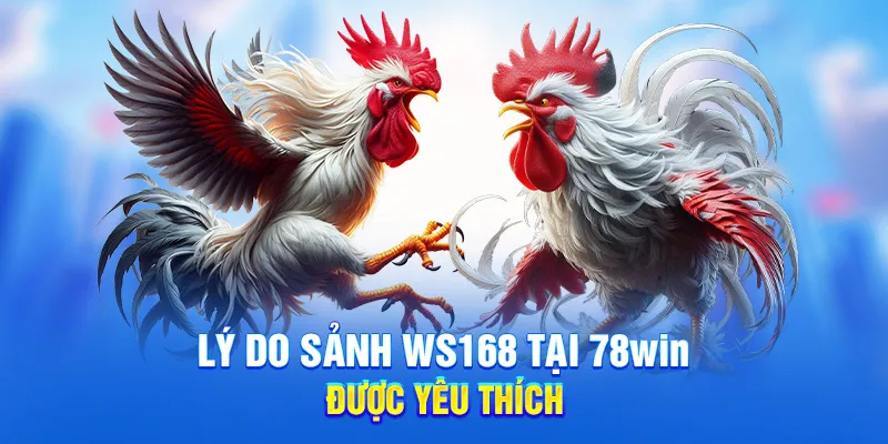 Lý do sảnh WS168 tại 78WIN được yêu thích